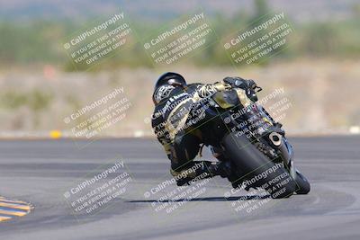 media/Oct-01-2023-SoCal Trackdays (Sun) [[4c570cc352]]/Turn 14 Backside (1120am)/